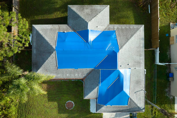 Best Rubber Roofing (EPDM, TPO)  in Newport News, VA