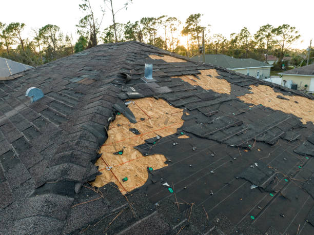 Best Metal Roofing Installation  in Newport News, VA