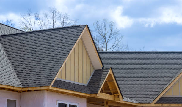 Roof Coating Services in Newport News, VA
