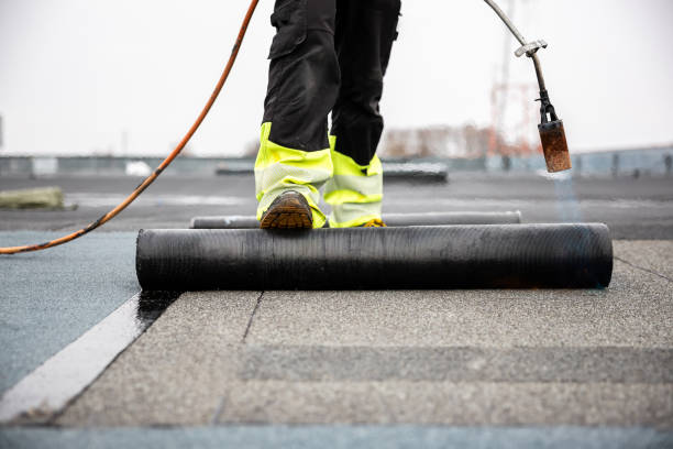 Best Gutter Installation and Repair  in Newport News, VA
